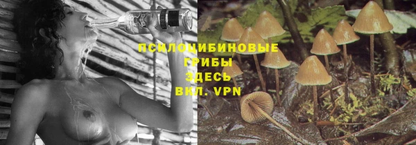 трава Алексеевка