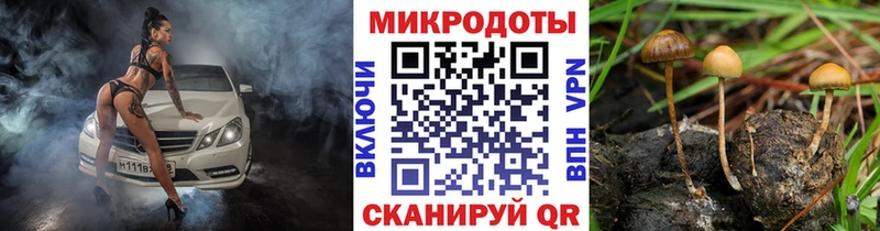 Галлюциногенные грибы мицелий  закладки  Михайловск 