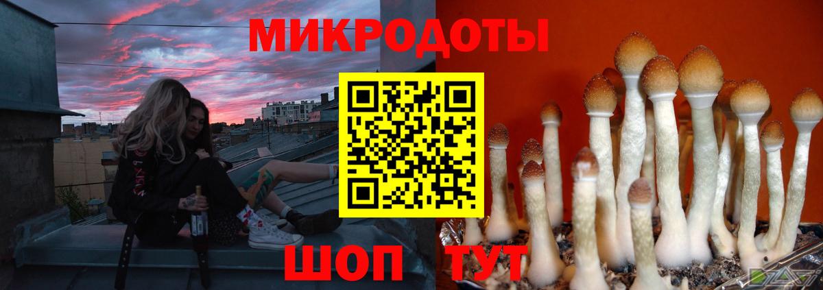 Михайловск  Псилоцибиновые грибы GOLDEN TEACHER  Псилоцибиновые грибы мицелий  Вход с VPN 